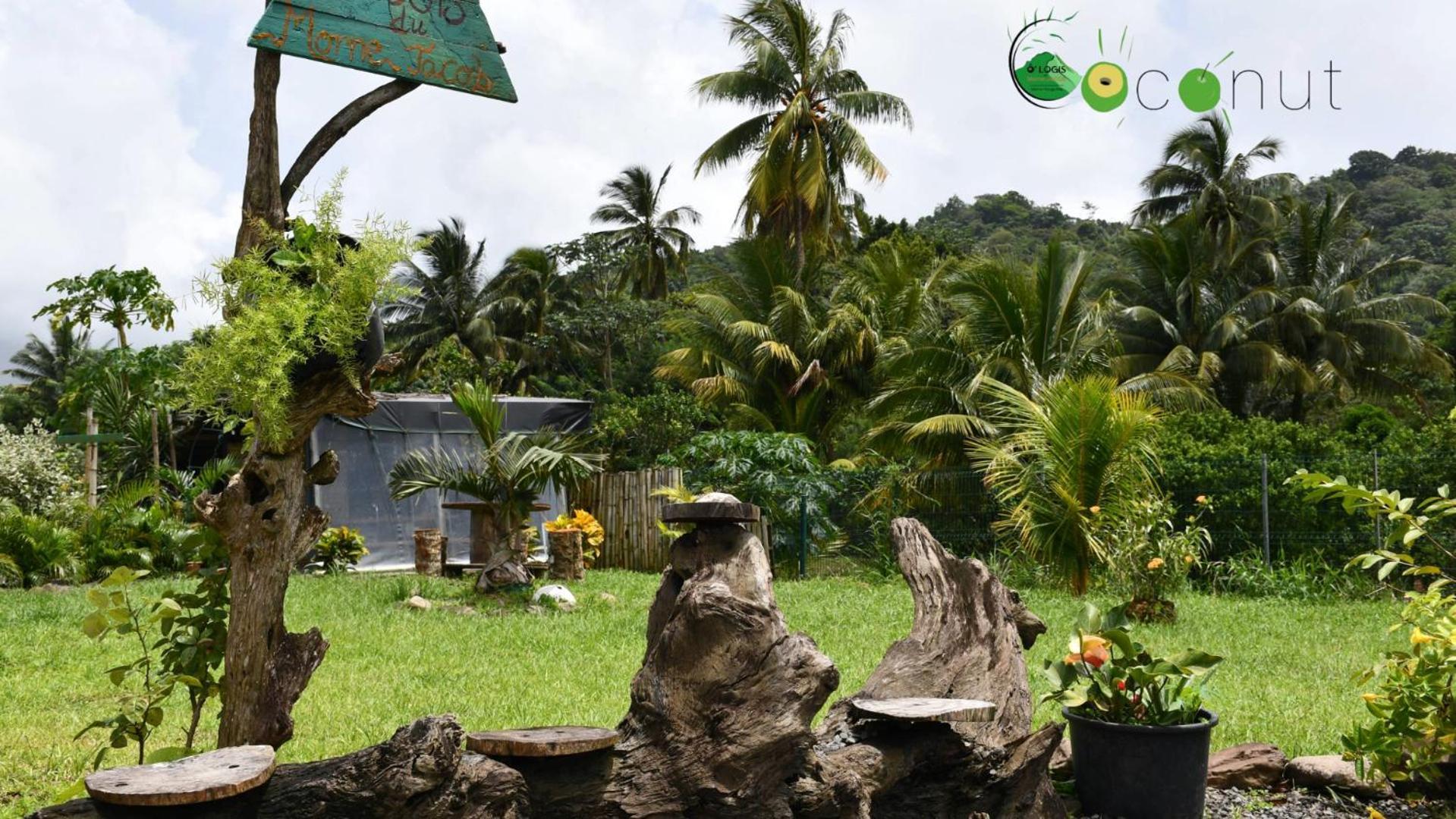 O Logis Du Morne Jacob "Coco", Le Morne-Rouge Martinique Apartment Luaran gambar